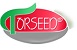 logo50_Torseed